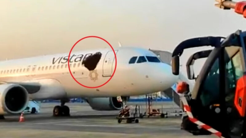 印度客机遭蜂群“围攻” 机身宛如破大洞