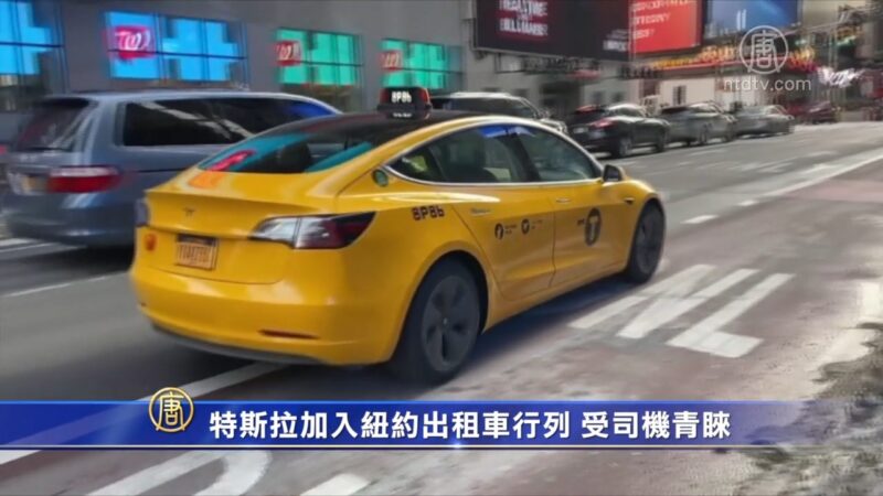 特斯拉加入紐約出租車行列 受司機青睞