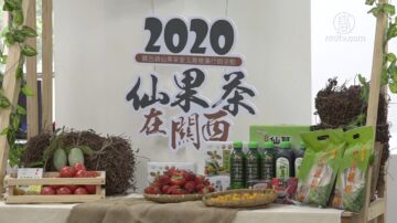 关西“仙果茶爱玉趣”登场 有吃有玩挺农业