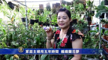 家庭主婦用五年時間 編織蘭花夢