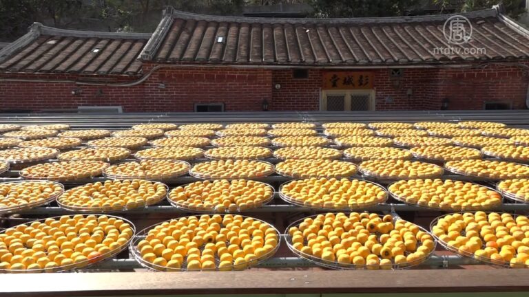新埔曬柿餅景色如畫 農糧署長大推竹縣觀光