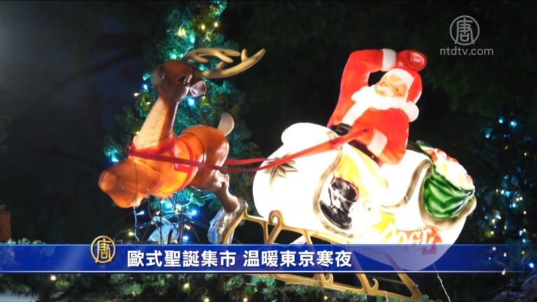 歐式聖誕集市 溫暖東京寒夜