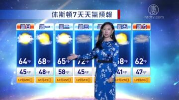 休斯顿一周天气预报