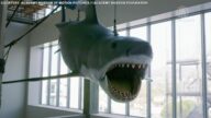 电影《大白鲨》模型 获洛杉矶博物馆收藏