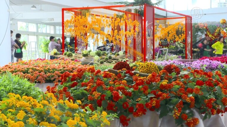 埔里花卉秋季展 結合民俗技藝「花醮」搶先看
