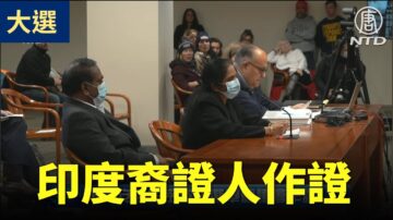 【密歇根選舉聽證會】印度裔證人在丈夫的陪伴下作證