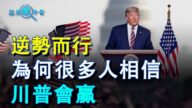 【慧月瞰今昔】为何很多人相信川普会赢 大选黑幕渐渐被揭开