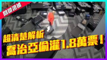 【老外看美国大选】关键证据超清解析 乔治亚偷灌1.8万票！