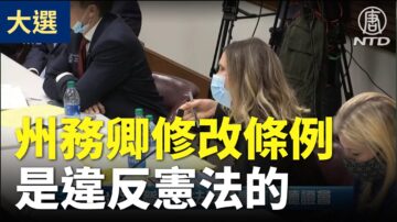 【喬州聽證會】法律教授連線作證：州務卿修改認證簽名條例是違憲