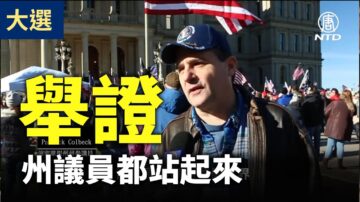 【停止窃选访谈】前密歇根州参议员：将在密州听证会上作证