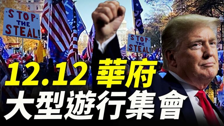 【熱點互動】華盛頓DC舉行系列大型遊行演講活動（直播 同聲翻譯）