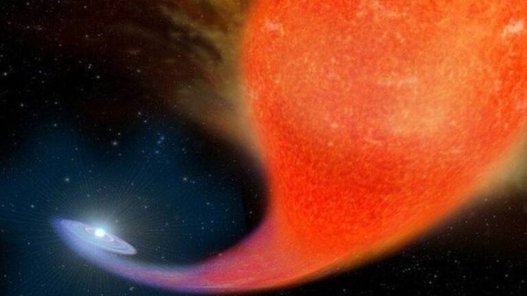 恐怖吸血鬼恆星 靠吸食周圍恆星「長生不老」