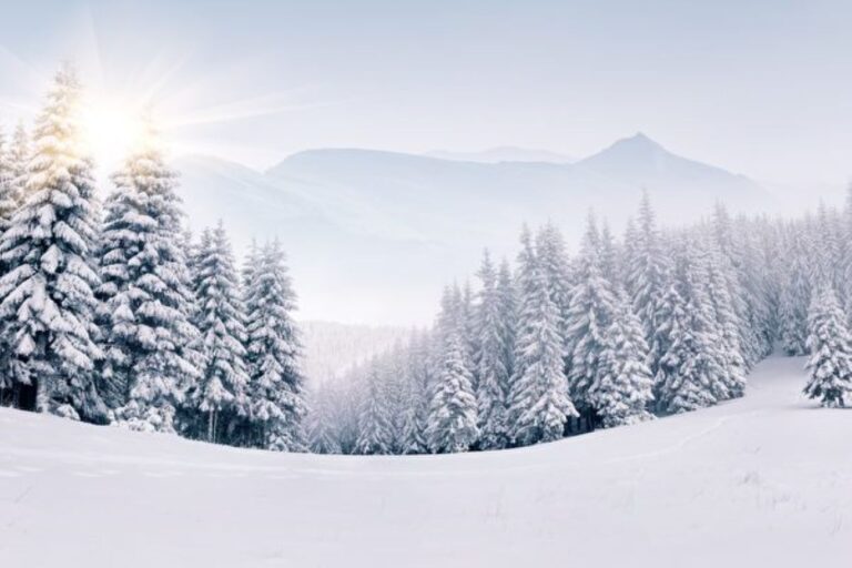 為什麼在正常情況下 雪是白色的？