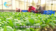 美丽心台湾：农业企业化 李惟裕打造永续农场