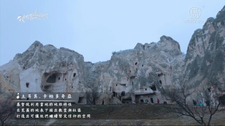 【我的音樂想想】自由之心無國界