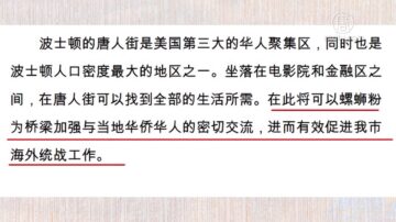 【独家】爆红美食“螺蛳粉”成中共统战武器