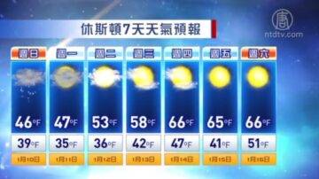 1月10日休斯顿一周天气预报