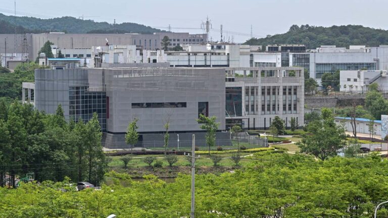 王友群：瘟疫病毒或源自中共實驗室的若干理由