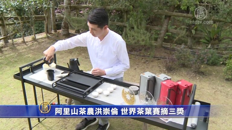 阿里山茶農洪崇倫 世界茶葉賽摘三獎
