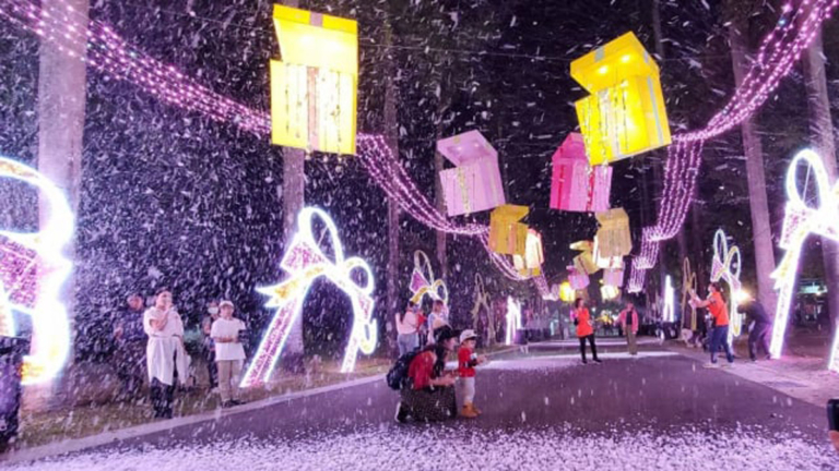 台灣屏東聖誕節開跑 12組燈飾粉紅夢境 浪漫登場