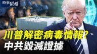 【时事纵横】川普解密病毒情报？中共毁灭证据