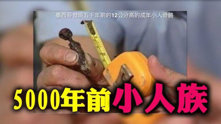 【驚人史前文明】美軍擊斃神秘紅髮巨人，地球上真的生活著3種人！