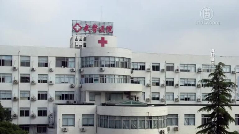 美國華人實名舉報 揭露中共活摘器官
