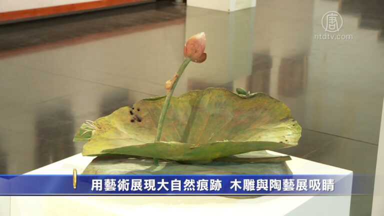 用藝術展現大自然痕跡 木雕與陶藝展吸睛