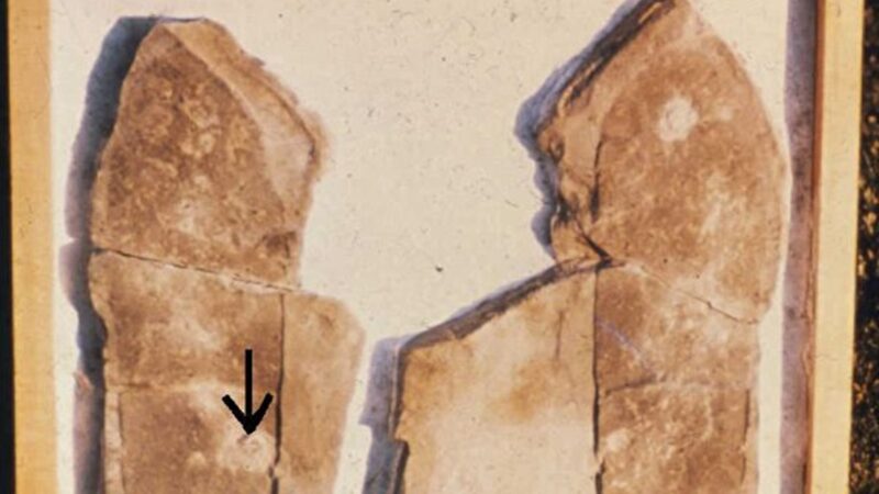 《转法轮》中提及的若干史前文明案例（1）三叶虫脚印化石