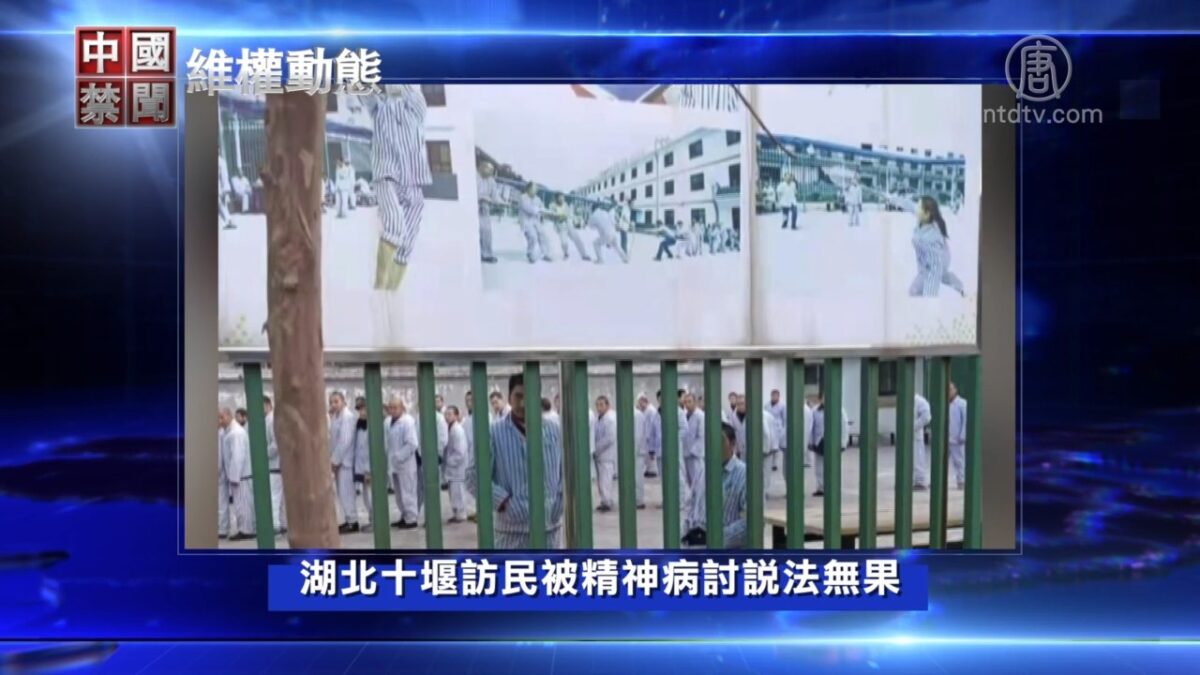 2月3日维权动态