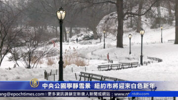 中央公園寧靜雪景 紐約市將迎來白色新年