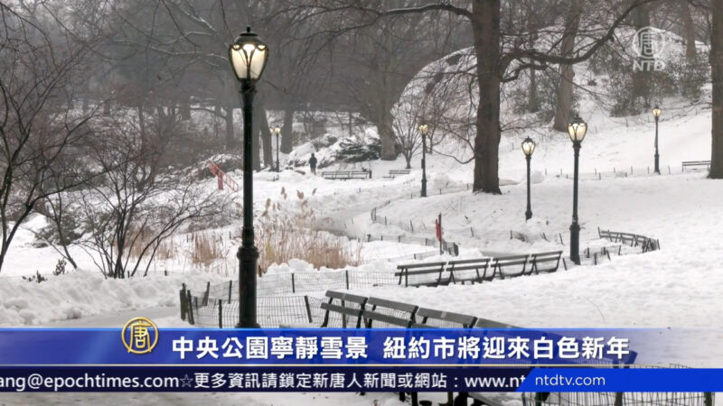 中央公園寧靜雪景 紐約市將迎來白色新年