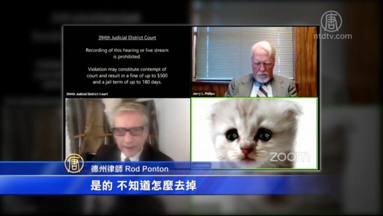 美國「貓臉」律師 聽證會中一舉成名