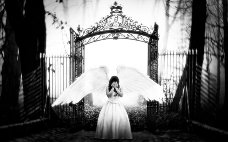 死亡只是幻覺 生命將持續循環