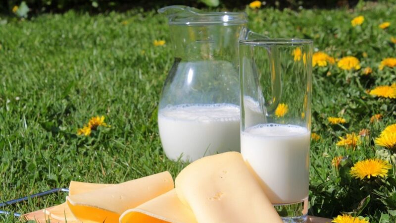 长期喝牛奶和不喝牛奶的人相比 差别好大