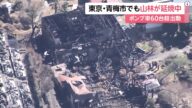 东京青梅市住宅火灾 疑强风助长火苗延烧山林