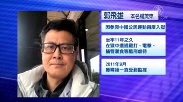 郭飞雄无音讯 20馀中国学者联署吁放人