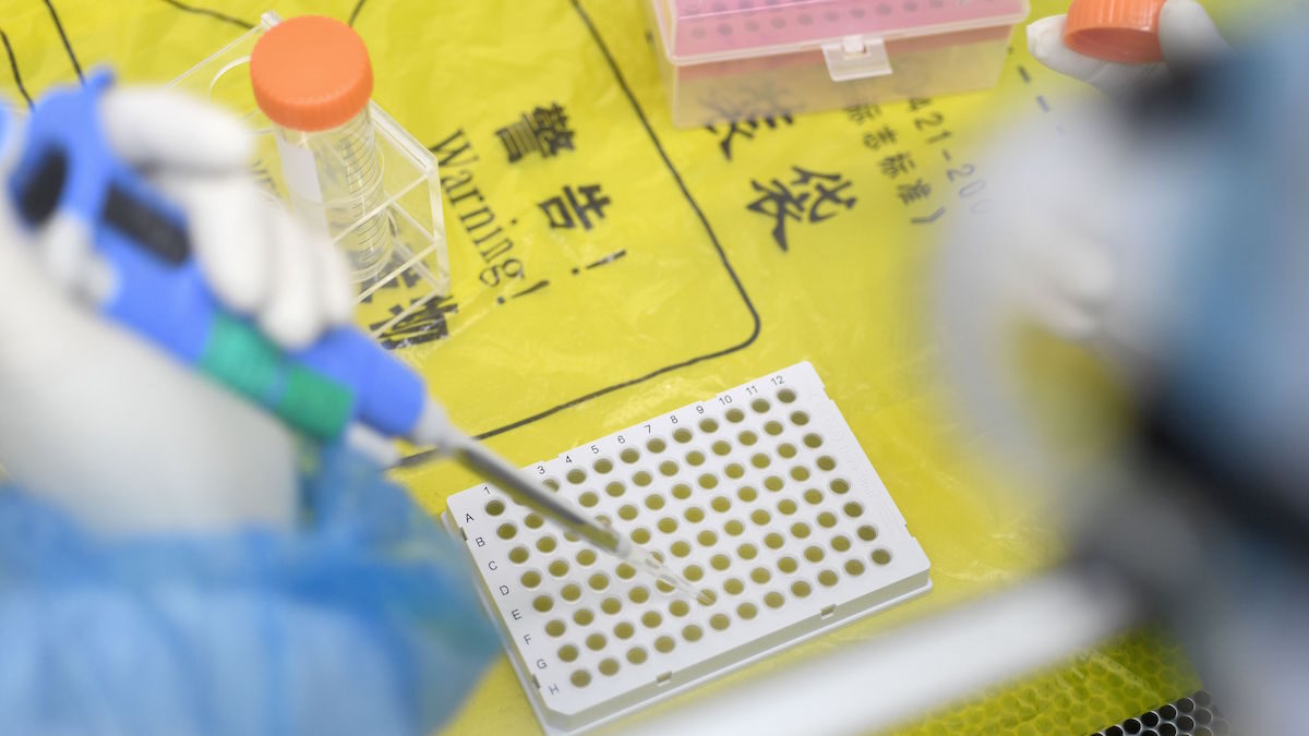 【禁闻】华大基因欲设美检疫站 曝中共「超限战」计划