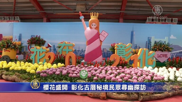 櫻花盛開 彰化古厝秘境民眾尋幽探訪