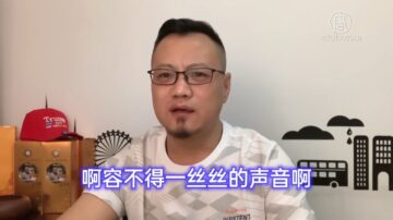 讽胡锡进儿子不敢回国 时评人遭全网封杀