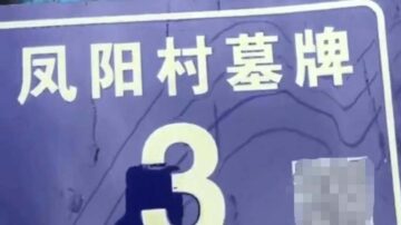 浙江村民怒斥門牌標「墓牌」 官稱是「村名」(視頻)