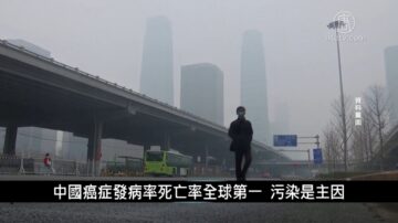 中國一分鐘: 中國癌症發病率死亡率全球第一 污染是主因