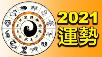 【探索与洞见】2021年十二生肖运势