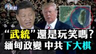 【拍案驚奇】翠字惹怒習近平 武統從鳳梨開始？