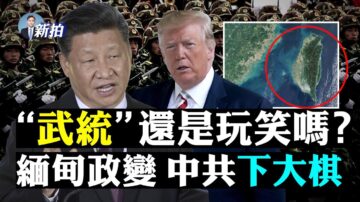 【拍案惊奇】翠字惹怒习近平 武统从凤梨开始？