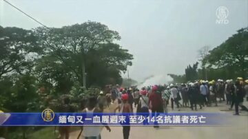 緬甸週末抗議至少14死 流亡警察：我不能對人民開槍