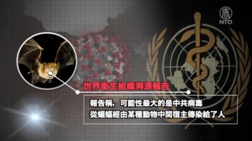 【禁闻】世卫报告提前曝光 助中共宣传反噬美国