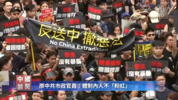 【禁聞】原中共市政官員：體制內人不「粉紅」
