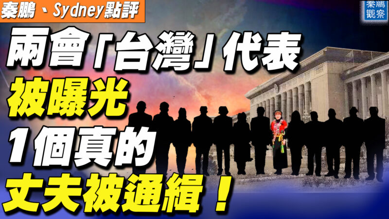 【秦鹏直播】两会“台湾”代表曝光 1个真的丈夫被通缉！