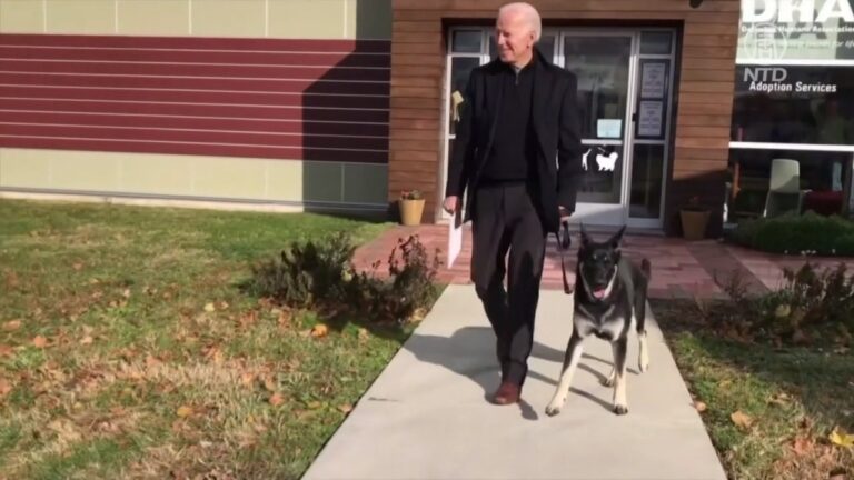 拜登愛犬白宮咬人 被送回特拉華州老家